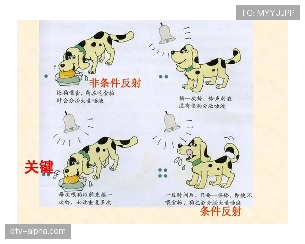 点球判罚的5个关键条件，哪些动作一定犯规？
